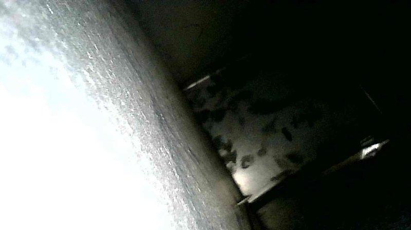 Performed diagnostic inspection in response to customer-reported dripping noise in basement area near ductwork. Conducted thorough visual examination of HVAC system including ducts, connections and surrounding areas. Unable to locate source of intermittent noise which customer noted occurs both when furnace is operating and when system is inactive. Recommended customer follow up with recent flooring contractors who may have inadvertently damaged something during their work.