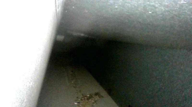 Performed diagnostic inspection in response to customer-reported dripping noise in basement area near ductwork. Conducted thorough visual examination of HVAC system including ducts, connections and surrounding areas. Unable to locate source of intermittent noise which customer noted occurs both when furnace is operating and when system is inactive. Recommended customer follow up with recent flooring contractors who may have inadvertently damaged something during their work.