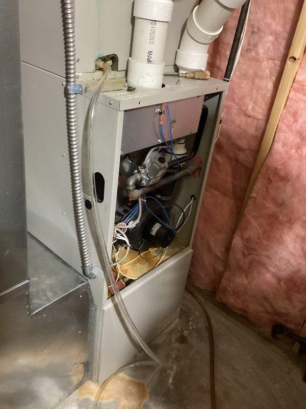 Responded to no-heat call for aging furnace (10+ years). Diagnosed pressure switch fault with water infiltration in burner box and pressure switch tube. Control board failure confirmed by lack of power to inducer motor despite system reset and draining. Observed significant rust damage to burners resulting from water exposure. System requires control board replacement and possible burner assembly replacement, but customer opted to explore full system replacement due to unit age and extent of repairs needed.