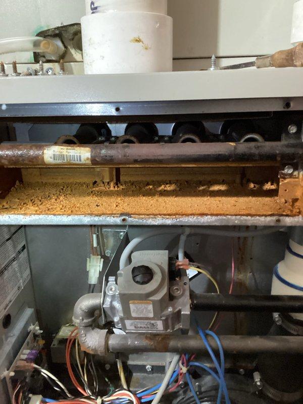 Responded to no-heat call for aging furnace (10+ years). Diagnosed pressure switch fault with water infiltration in burner box and pressure switch tube. Control board failure confirmed by lack of power to inducer motor despite system reset and draining. Observed significant rust damage to burners resulting from water exposure. System requires control board replacement and possible burner assembly replacement, but customer opted to explore full system replacement due to unit age and extent of repairs needed.