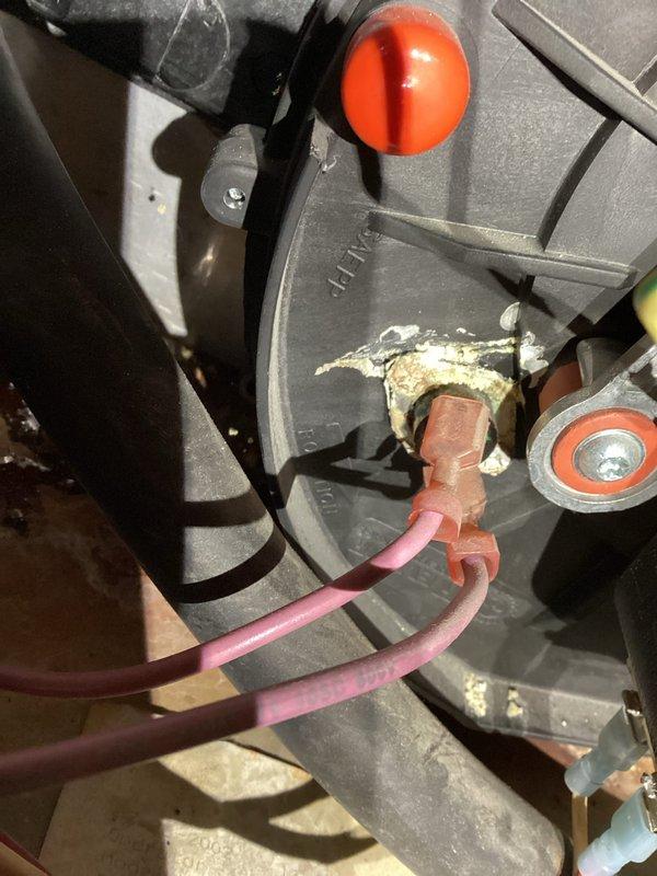 Responded to no-heat complaint on 20-year-old furnace. System was operational upon arrival but performed basic service including heat exchanger inspection, flame sensor cleaning, and condensate check. Identified a crack in the collector box and possible intermittent control board malfunction consistent with customer's description. Documented issues with photos and scheduled follow-up for potential component replacement.