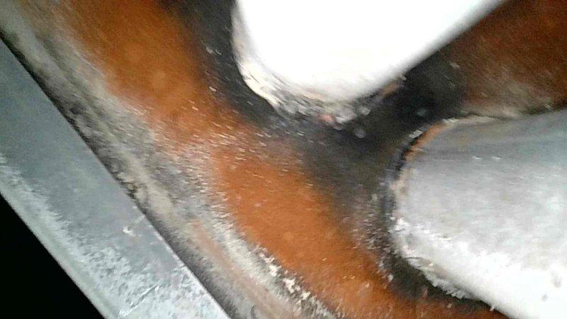 Conducted furnace inspection and identified multiple critical safety issues including cracked heat exchanger, elevated CO levels, and damaged venting system with improper PVC pipe modifications at exhaust. Documented corrosion and deterioration of metal components through visual inspection. Due to extensive safety concerns and compromised system integrity, recommended complete furnace replacement.