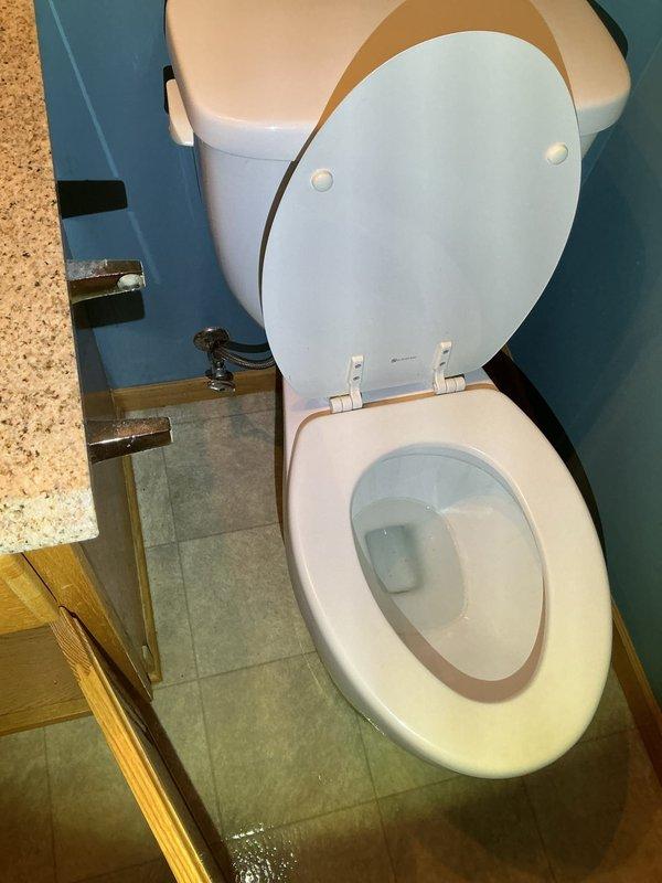 Successfully removed toilet and vanity cabinet in preparation for scheduled flooring replacement. Disconnected all plumbing connections including water supply lines and drain pipes. Customer to be contacted for reinstallation appointment after new flooring is completed.