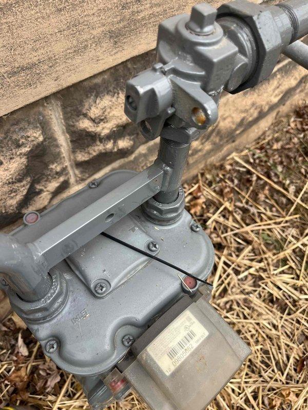 Responded to a no heat complaint on a 1-year-old unit at a rental property. Diagnostic testing revealed no gas flow to the system. Upon inspection of the gas meter, discovered it had been manually closed with a zip tie installed. Removed unauthorized zip tie to restore gas supply, after which the heating system functioned normally with no operational issues detected.