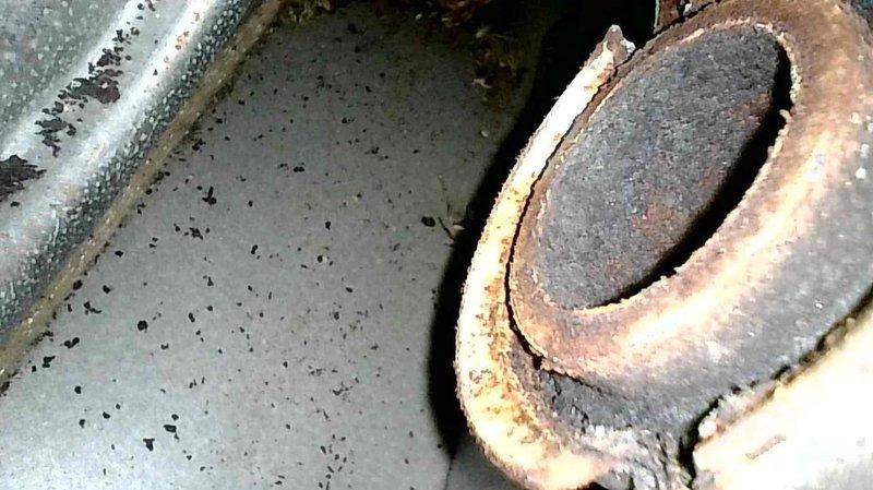 Diagnosed 20-year-old Lennox FA furnace with no heat showing error code 4+1. Found gas valve failing to open consistently and inducer motor exhibiting noise during operation. After multiple ignition attempts, confirmed intermittent gas valve operation as primary issue. Recommended replacement of both gas valve and inducer motor, with gas valve being priority. Scheduled service advisor to provide quote for complete furnace replacement.