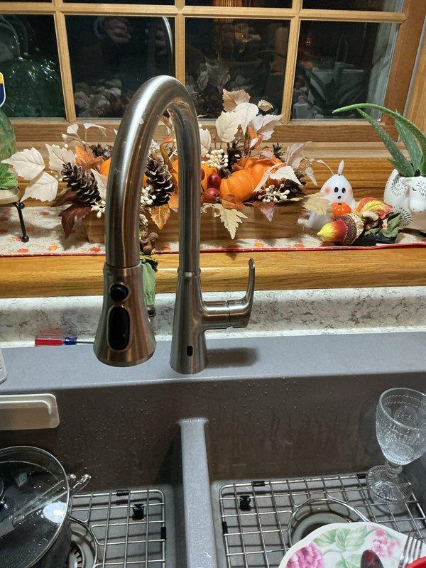 Diagnosed and resolved low hot water pressure at kitchen faucet caused by sediment accumulation in the plumbing lines. Installed whole-house sediment filter to address ongoing water quality issues from the customer's well water system, effectively restoring proper flow to both hot and cold water sides of the kitchen faucet.