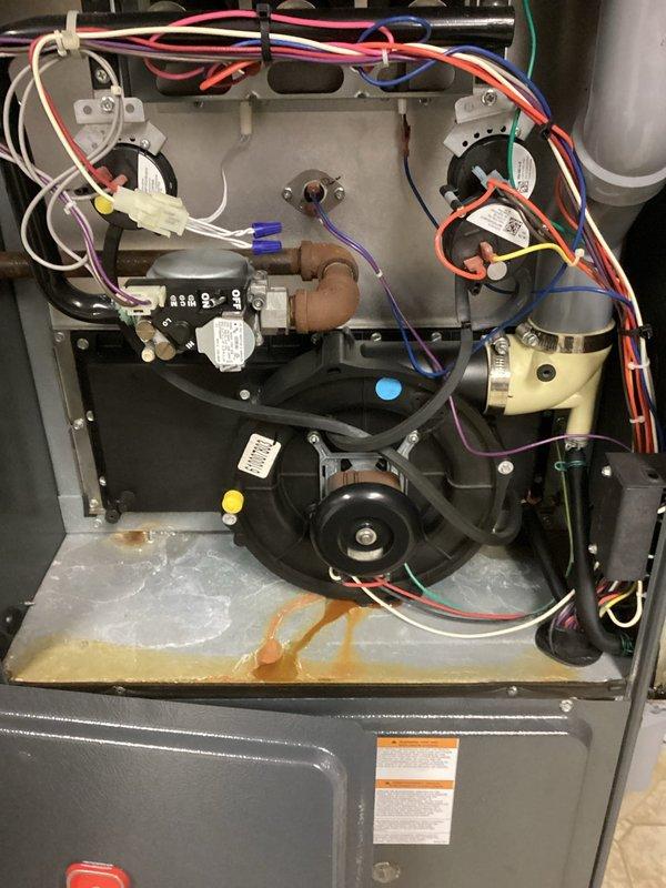 Responded to service call for leaking collector box on furnace. Removed and serviced collector box, installing new gaskets for both the collector box and inducer assembly. Cleared condensate drain lines and trap, then verified proper system operation through testing cycle.