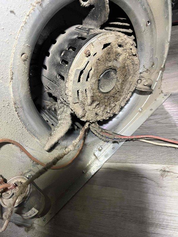 Performed comprehensive furnace tune-up on aging system for new homeowner. Discovered significant dirt accumulation on blower wheel requiring thorough cleaning. Identified deteriorating ductwork with direct exterior opening that needed replacement to restore proper system functionality and efficiency.