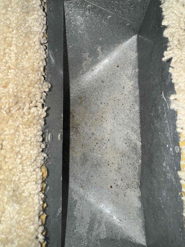 Successfully completed comprehensive duct cleaning service for both supply and return ducts, including initial mobilization and setup of equipment. Addressed visible dust and debris accumulation observed during inspection of the main duct channel and vent openings, restoring system to proper cleanliness standards for improved airflow and indoor air quality.