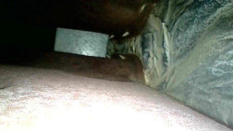 Responded to no-heat service call for aging furnace (10+ years old). Diagnosed faulty ignition system with broken spark generator and spark wire that were no longer making proper connections. Replaced worn components to restore heating function, which was necessitated due to age-related deterioration of ignition assembly.