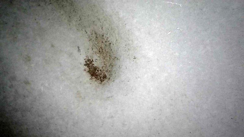 Performed annual LP furnace maintenance inspection and identified multiple cracks in the heat exchanger along with holes in the side wall, documented with detailed photos of the metal degradation and staining. Due to the compromised heat exchanger integrity, replacement of the furnace is recommended, with pricing information to follow.