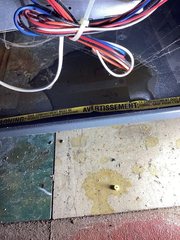 Performed furnace tune-up on Amana system for new homeowner. Inspection revealed collector box leaking with water present in blower cabinet. System was otherwise functioning properly despite evidence of long-term leakage. Recommended replacement of collector box. Documentation and photos provided to customer.