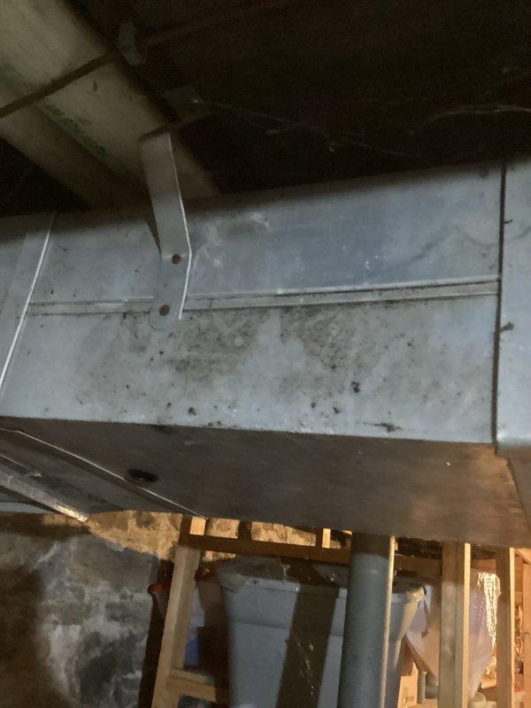 Performed routine maintenance on 10-year-old Rheem furnace as part of scheduled bi-annual service agreement. System is functioning properly with proper gas pressure, good electrical connections, and normal amp draws on motors. Cleaned flame sensor, verified ignitor operation, and confirmed condensate drains are clear. Noted concerning dark spots (possible mold) on exterior ductwork and questionable vent condition requiring future attention.
