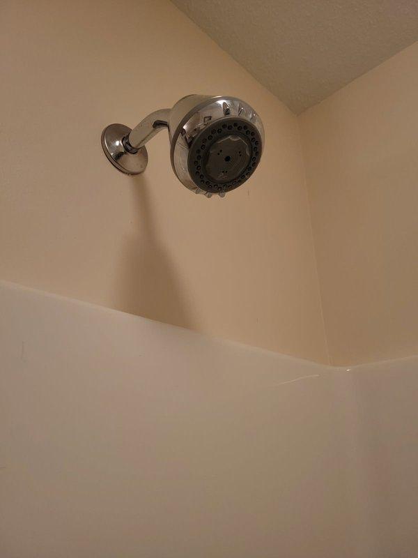 Diagnosed and resolved lack of hot water to basement shower by replacing the defective shower cartridge. Verified proper hot water flow after repair and confirmed system functionality.