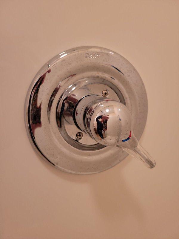 Diagnosed and resolved lack of hot water to basement shower by replacing the defective shower cartridge. Verified proper hot water flow after repair and confirmed system functionality.