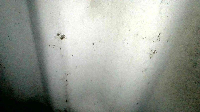 Performed comprehensive maintenance on Carrier furnace including operational testing, filter replacement, condensate trap cleaning, and heat exchanger inspection. Noted minor spots on heat exchanger requiring future monitoring but system is currently operating safely. Addressed customer concern about garage heater (Meacon Morris) confirming normal operation with burning smell attributed to dust accumulation on heat exchanger.