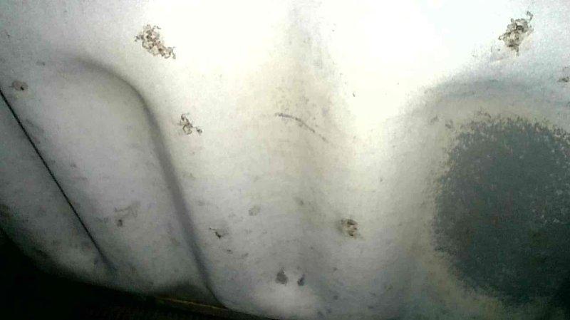 Performed comprehensive tune-up on 6-year-old ICP furnace. Inspected and tested all routine components with system operating within normal parameters. Observed multiple spots on heat exchanger which were documented with photos, but no structural compromises detected at this time. System was left functioning properly.