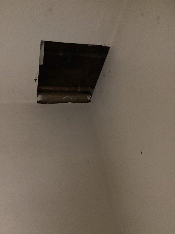 Replaced two aging outdoor spigots with new frost-proof models to prevent future freeze damage. Accessed and completed installation of both front and back exterior spigots, ensuring proper function and secure connections.