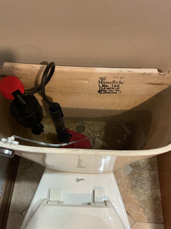 Inspected Noritz tankless water heater due to reported reduced output. Confirmed system requires descaling service but lacks proper isolation valves needed for flushing procedure. Also examined Mansfield toilet (Model 160) with reported intermittent leaks at handle and base; observed mineral buildup in tank. Submitted parts order form for toilet repair components and provided estimate for necessary water heater valve installation to enable proper maintenance.