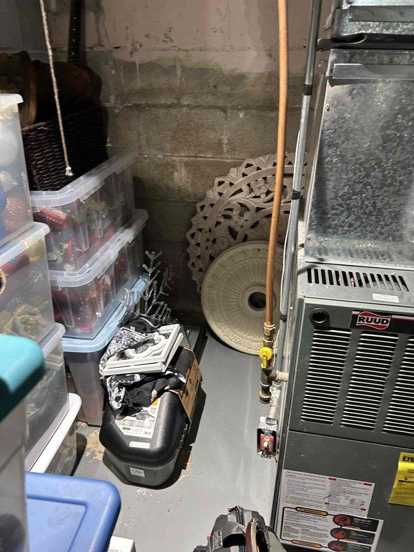 Performed comprehensive furnace tune-up including verification of pressure switch operation and carbon monoxide testing for safe combustion. Conducted electrical component diagnostics (flame igniter, gas valve solenoid resistance, flame sensor microamp measurement, blower motor capacitor condition) and gas pressure verification/adjustment for proper system operation. All components were reconnected, electrical connections secured, and system operation confirmed with the furnace now functioning properly.