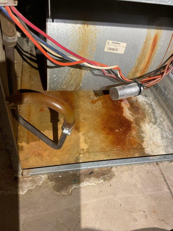 Responded to no heat service call for 20-year-old furnace system. Diagnostic inspection revealed extensive corrosion on internal components and motor control board, with visible rust damage on the blower assembly preventing proper fan operation. System is in severely deteriorated condition and requires significant repairs; customer was advised of options and scheduled for follow-up consultation tomorrow.
