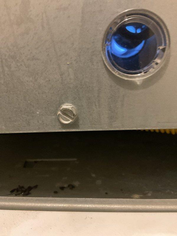 Responded to no-heat call for a 1-year old natural gas furnace. Diagnostic testing revealed mice had been chewing on wiring and the flame sensor had poor continuity. Cleaned flame sensor with scotch-brite, verified proper operation through multiple heating cycles, and identified that the combustion intake pipe connection needed securing.