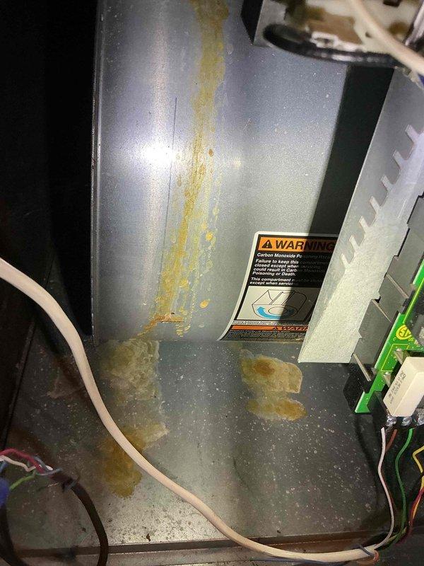 Performed diagnostic evaluation on 14-year-old Lennox furnace with reported no heat condition. Inspection revealed significant rust and corrosion throughout the heat exchanger with visible streaking patterns indicating moisture damage. Determined furnace has failed heat exchanger, making unit unsafe for continued operation due to potential carbon monoxide hazards. Advised customer of findings and recommended replacement rather than repair due to age of equipment and severity of damage. Customer informed that annual flame sensor cleaning was addressing symptoms rather than resolving underlying systemic failure.