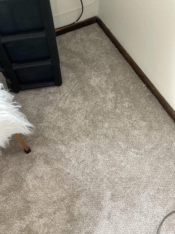 Performed follow-up inspection after recent mini split deep cleaning to address customer's concerns about black tar-like particles staining carpet. Observed minor debris on floor consistent with normal post-cleaning residue. Documented condition of evaporator coils and surrounding area with photos. Advised customer that similar minor debris may occur with future cleanings due to normal system purging process.