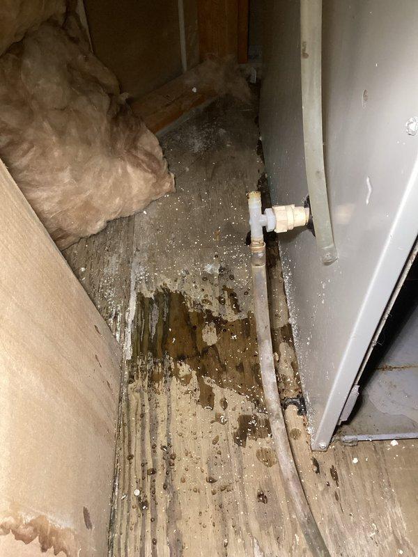 Responded to no heat call and found furnace with multiple issues including plugged condensate drain causing water backup in inducer, worn blower motor bearings with excessive play, and failing capacitor (7.5uf measuring 6.5uf). Critical safety concern identified - heat exchanger inspection revealed rotted secondary heat exchanger with detached rings. Due to safety hazards and equipment age, furnace was tagged out of service and customer advised to consider replacement rather than repair.