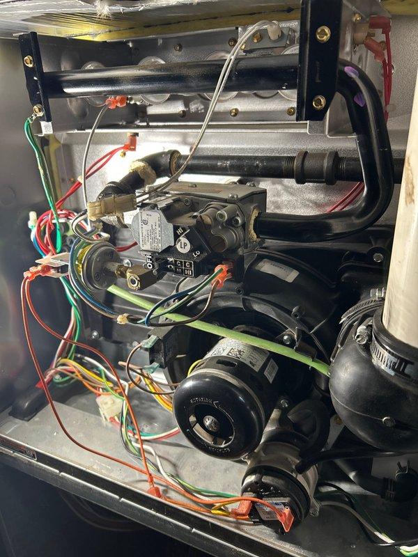 Performed comprehensive tune-up on 10-year-old Carrier LP gas furnace. Cleaned flame sensor, inspected electrical connections and verified they are secure. Confirmed ignitor is in good condition, filter is clean, and system is burning safely with proper operation. No operational issues or safety concerns identified.