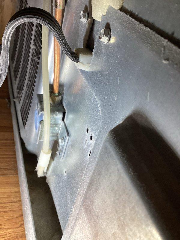 Diagnosed water leak originating from refrigerator ice maker line causing mold and water damage to basement ceiling. Conducted inspection revealing no active drips but confirmed appliance failure. Shut off ice maker water supply line and recommended replacement of the affected appliance.