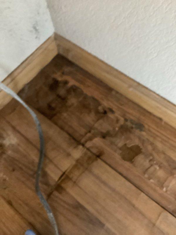 Diagnosed water leak originating from refrigerator ice maker line causing mold and water damage to basement ceiling. Conducted inspection revealing no active drips but confirmed appliance failure. Shut off ice maker water supply line and recommended replacement of the affected appliance.