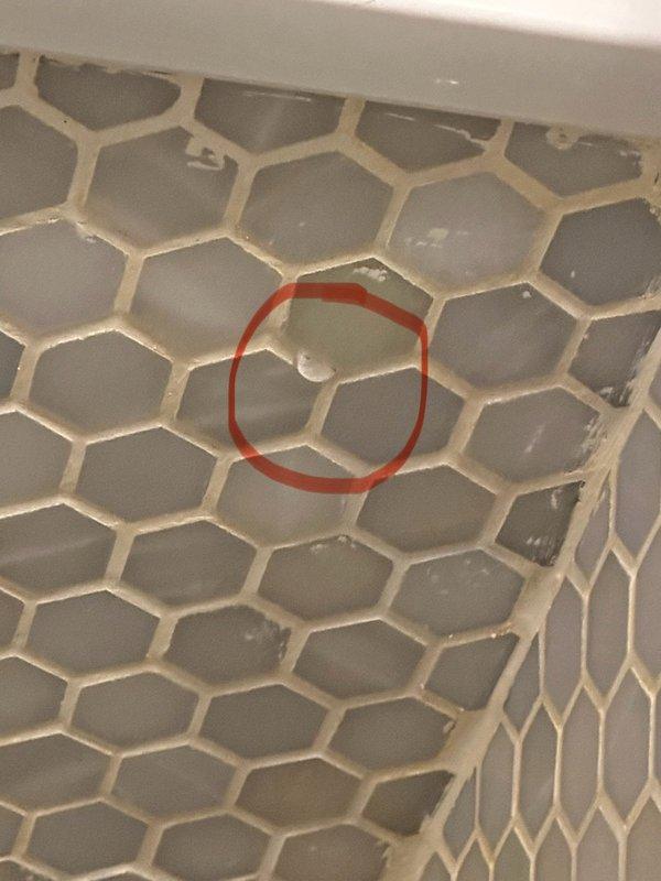 Responded to leak report from ceiling above basement shower. Diagnosed issue as a pin hole leak in the 1/2" copper water supply line for the main floor toilet. Replaced damaged copper tubing with new 1/2" PEX tubing, installed appropriate fittings and new stop valve. Work was completed with access through entry closet, resolving the water intrusion problem.