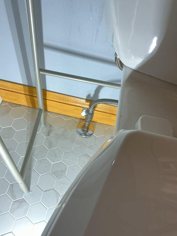 Conducted annual plumbing inspection with focus on water heater replacement inquiry. Evaluated water filtration system in mechanical room and bathroom fixtures including supply lines and shutoff valves. Identified several maintenance issues requiring attention and provided customer with estimates, scheduling follow-up with service advisor for detailed pricing and additional consultation.