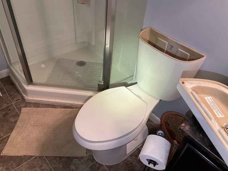 Responded to service call regarding reported water leak. Diagnosed excessive water usage was due to lower level toilet constantly running every 2-3 minutes. Provided customer with repair options, who declined service as they plan to have neighbor install replacement toilet.