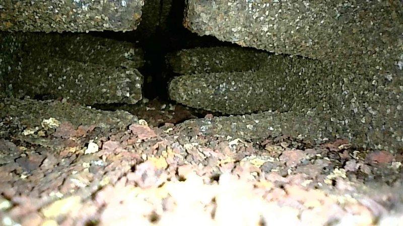 Performed boiler tune-up maintenance. Inspected heat exchanger, noting early rust accumulation that could potentially affect operation if it progresses. Vacuumed accessible bottom portion of unit. Confirmed proper igniter ohm readings and verified all radiators were functioning correctly with system pressure at approximately 12 psi. No water addition required at this time.