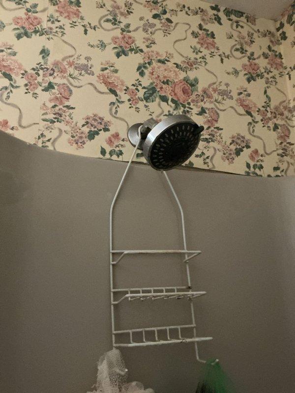 Conducted annual plumbing inspection at customer's request, examining bathroom shower fixtures. Inspected dual clear plastic faucet handles with chrome base plates and wall-mounted showerhead for functionality, leaks, and potential issues. No immediate plumbing concerns identified during the inspection, though noted several minor items requiring future attention.