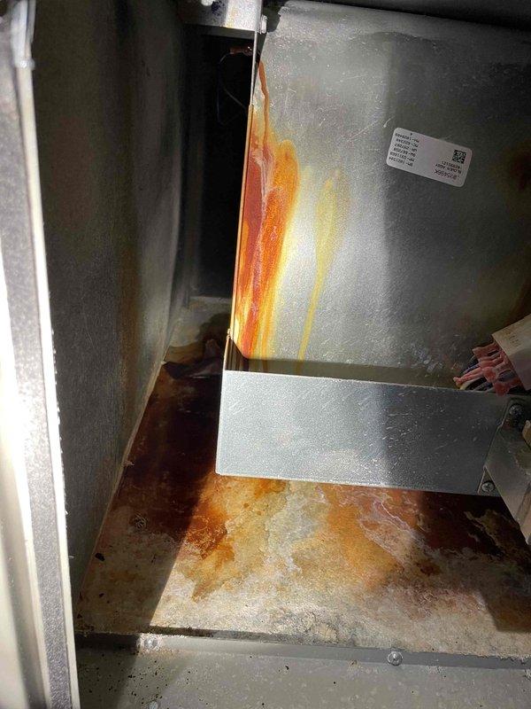 Responded to no heat complaint on 5-year-old natural gas furnace. Inspection revealed extensive water pooling in bottom cabinet with significant rust and metal deterioration. Diagnostic testing identified a failed secondary heat exchanger with leaking condensation from deteriorated gasket/seal behind the collector box. Documented corrosion damage with photos showing rust staining and moisture damage. Tagged furnace as unsafe for operation and completed warranty parts order form for heat exchanger. Homeowner informed of findings and advisor scheduled for tomorrow to discuss replacement options.