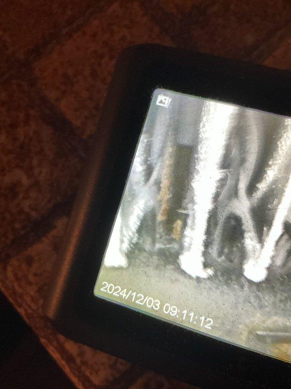 Diagnosed 19-year-old Bryant high efficiency furnace with no heat issue. Found melted burner box sight glass, failed secondary heat exchanger with visible leakage and corrosion, and plugged heat exchanger. Recommended system replacement through comfort advisor due to age and condition of critical components.