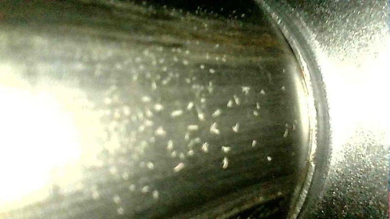 Responded to no-heat call for elderly customer reporting furnace only reaching 68° despite higher thermostat setting. Performed comprehensive diagnostic inspection including flame sensor, heat exchanger, gas lines, and HSI. System restored to proper operation. Customer advised to replace filter monthly to maintain performance.