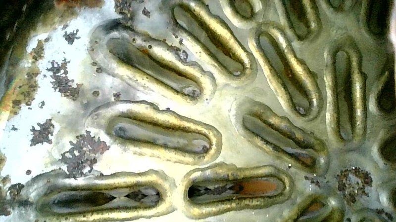 Completed service maintenance on two 5-year-old IBC boilers and two furnaces (3 and 5 years old). Performed comprehensive tune-up, checked operational status of all equipment, and verified proper functionality. No performance issues identified during inspection despite observed mineral buildup on heat exchanger components.