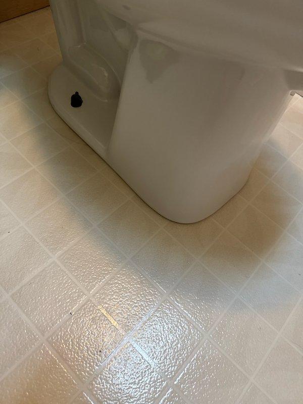 Diagnosed non-functioning toilet with broken chain and worn internal tank components. Determined extensive parts replacement was necessary due to multiple issues including leaking wax ring. Completed full toilet replacement, removing old unit and installing new toilet with proper sealing and connection to waste line. Verified proper operation after installation.