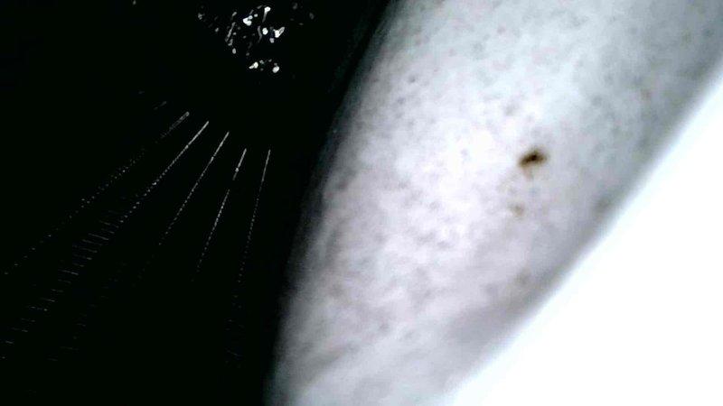 Diagnosed LP furnace failure showing pressure switch error code. Upon inspection, identified significant cracks on burner face plate and confirmed a substantial hole in the heat exchanger passageways via camera inspection. Customer declined both heat exchanger replacement and service advisor visit, indicating they would pursue furnace replacement with another provider.