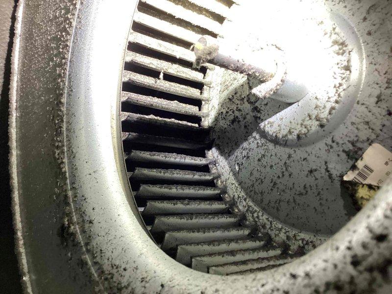 Diagnosed 16-year-old Bryant FA furnace blowing cold air due to water buildup in inducer motor from clogged drain. Flushed and cleaned drain system, restoring heat functionality. Noted early signs of secondary heat exchanger failure and advised homeowner about potential need for furnace replacement.