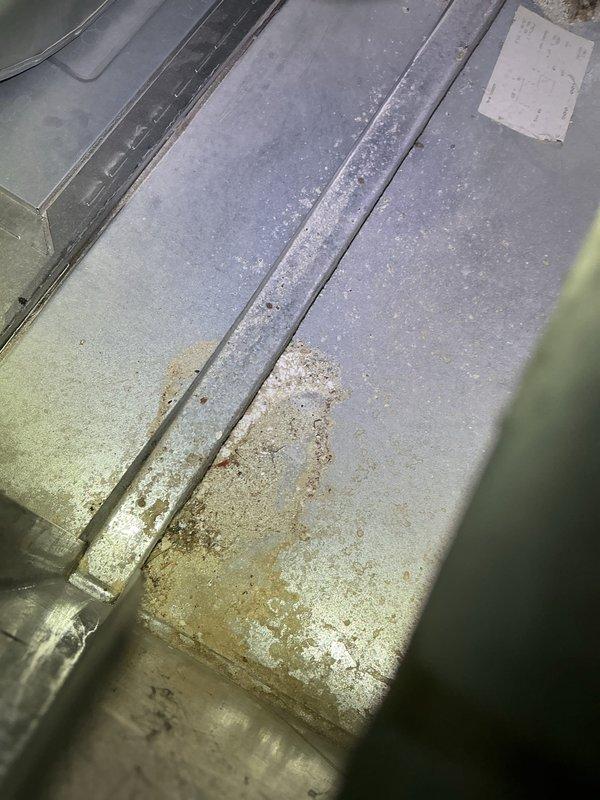 Inspected furnace following customer concern about black filter after only one month of use. Performed diagnostic testing with UEi DL589 meter confirming 0.36A current draw, within normal parameters. Examination revealed some corrosion on metal components. Determined black filter was primarily due to customer's use of large candles rather than furnace or water heater issues. Verified power vent water heater and 2-year-old furnace are functioning properly with good combustion readings. Advised customer to discontinue candle burning and recommended electronic air filter and UV light installation for improved air quality.