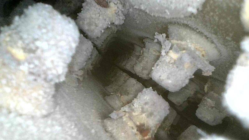 Inspected boiler after CO detector activation prompted fire department response. Discovered a crack in boiler jacket beneath heat exchanger, causing carbon monoxide to be drawn into the home. Recommended complete boiler replacement and established temporary arrangements for customer pending installation of new equipment.