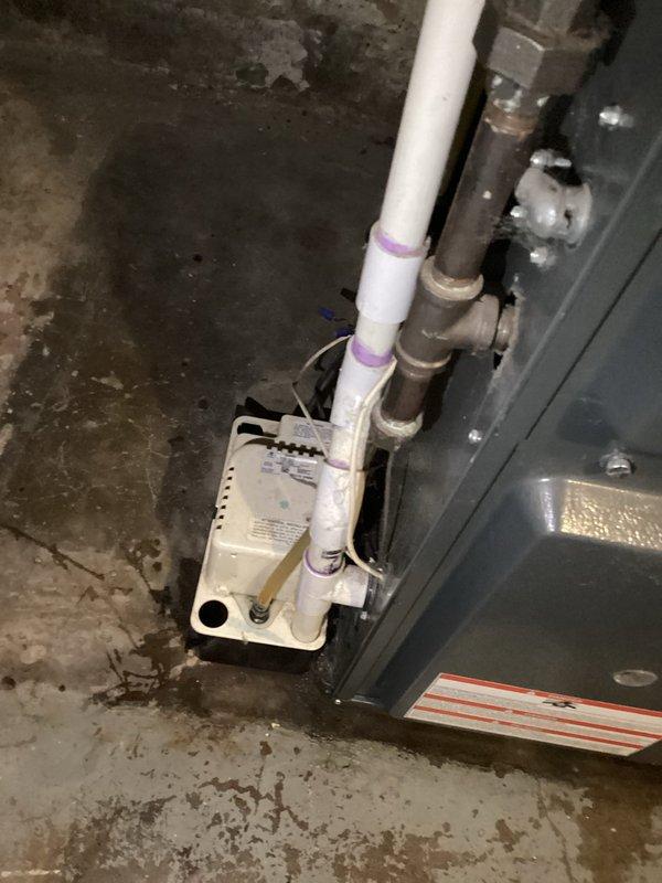 Resolved no heat issue in 7-year-old furnace by resetting GFI and power. Diagnosed probable condensate pump failure which was interrupting thermostat signal through safety cutoff switch. System was dirty but operational after reset. Verified proper operation with no error codes present.