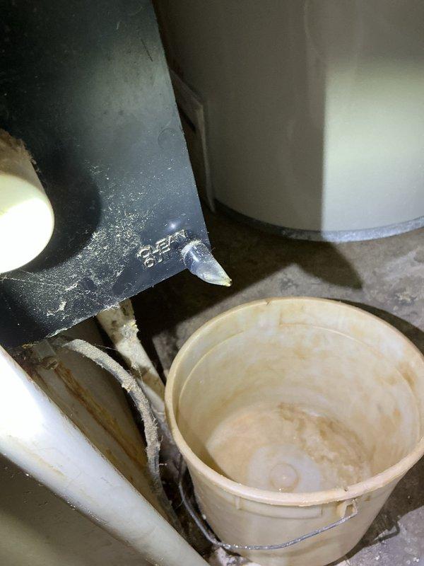 Replaced missing condensate trap cap on furnace which had been causing significant leakage (approximately one bucket daily). Issue originated during previous service when the trap was accidentally dislodged during water heater, filter, and softener installation. Condensate system now properly sealed and functioning correctly.