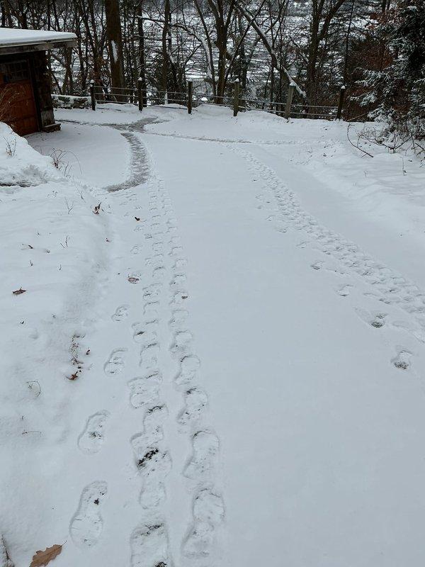 Replaced missing condensate trap cap on furnace which had been causing significant leakage (approximately one bucket daily). Issue originated during previous service when the trap was accidentally dislodged during water heater, filter, and softener installation. Condensate system now properly sealed and functioning correctly.