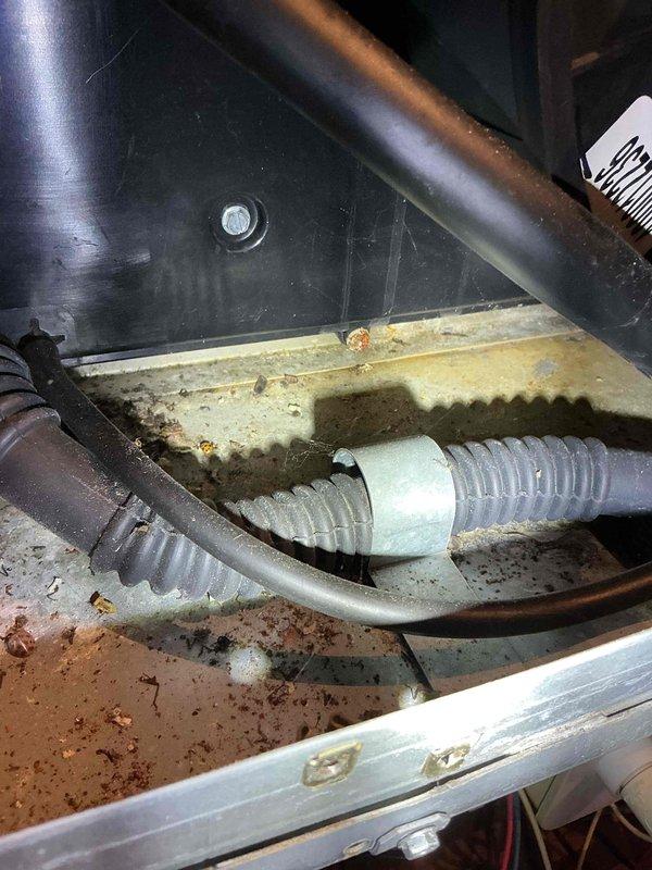 Performed diagnostic inspection on aged furnace experiencing cycling issues approximately every 15 minutes due to airflow restrictions. Interior inspection revealed significant debris accumulation in the compartment and potential issues with the blower motor assembly. Recommended system maintenance to address dirt buildup and discussed monthly maintenance package options with customer. Referred to comfort advisor for evaluation of replacement options given the unit's age and condition.